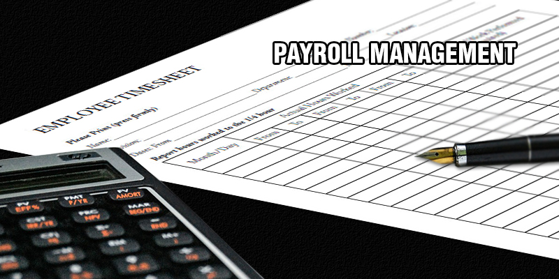 Payroll Management Software